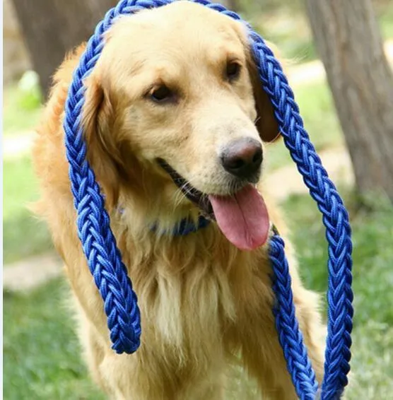 Durable Nylon Dog Leash & Collar Set