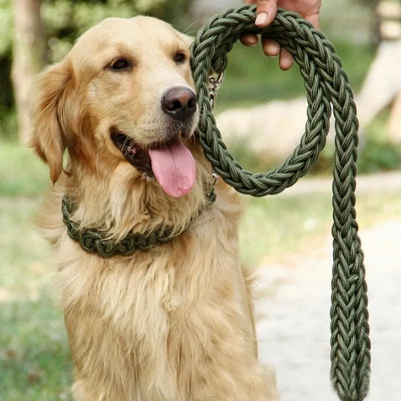 Durable Nylon Dog Leash & Collar Set