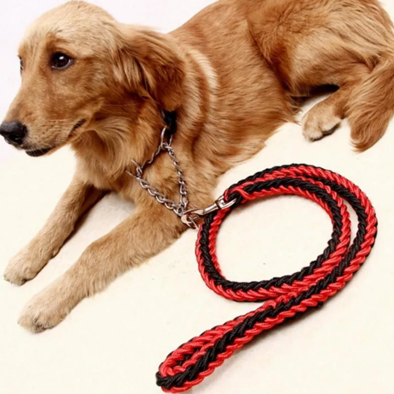 Durable Nylon Dog Leash & Collar Set