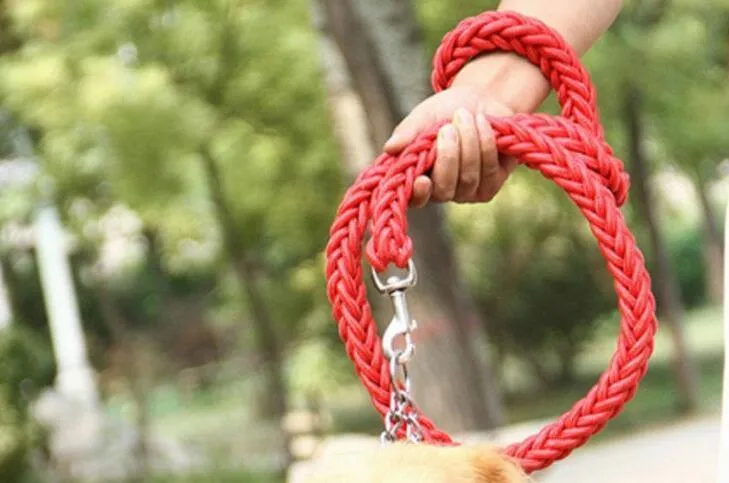 Durable Nylon Dog Leash & Collar Set