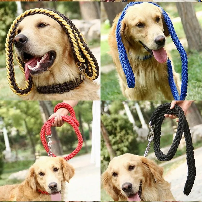 Durable Nylon Dog Leash & Collar Set