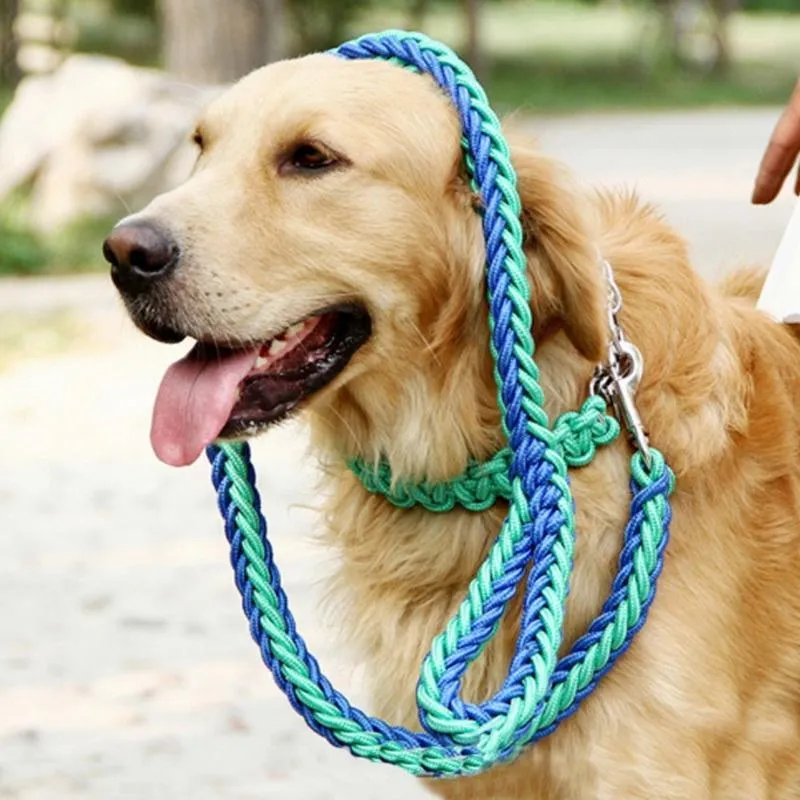 Durable Nylon Dog Leash & Collar Set