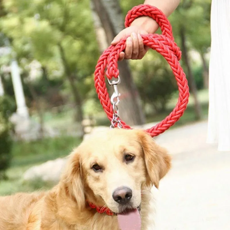 Durable Nylon Dog Leash & Collar Set