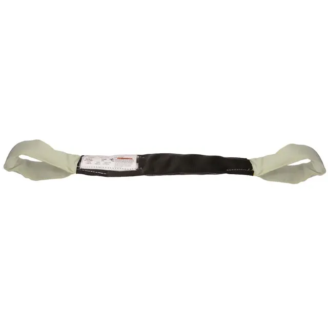 Polyester Round Eye & Eye Lifting Sling - 4' (White)