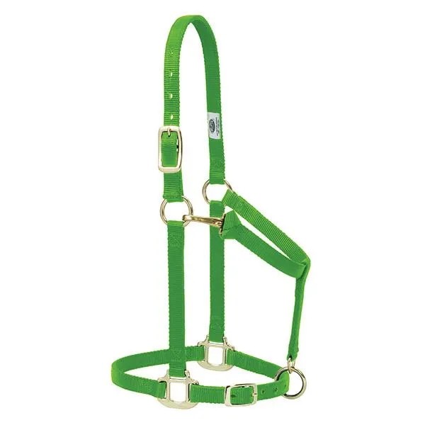 Weaver Original Adjustable Chin and Throat Snap Halter, 3/4" Arabian/Cob